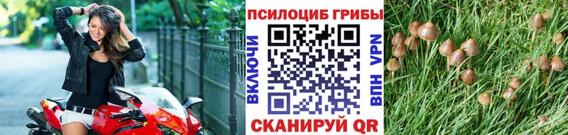 купить закладку  Няндома  Псилоцибиновые грибы Magic Shrooms 